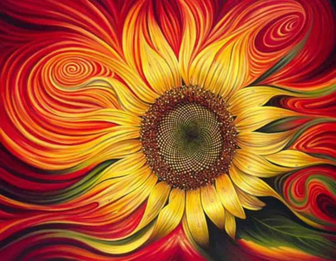 May be an image of African daisy